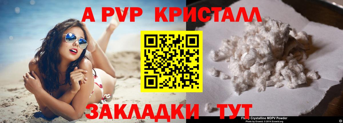 Alfa_PVP крисы CK Чита