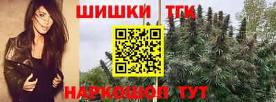 индика Нальчик