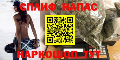 индика Нальчик