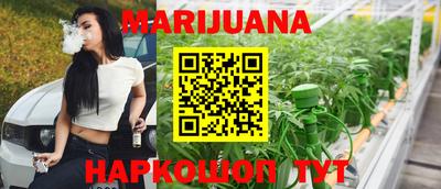 индика Нальчик