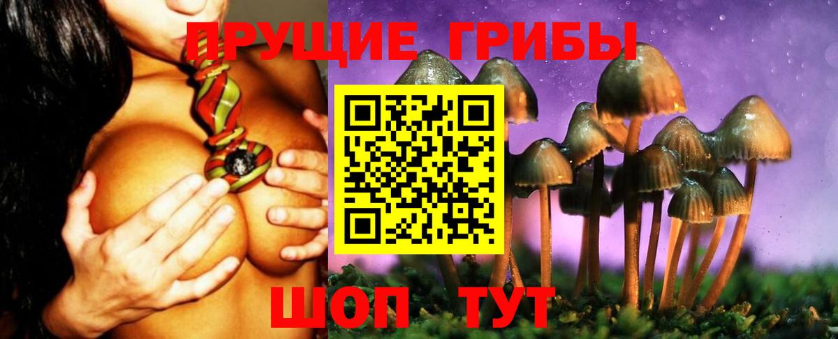 Псилоцибиновые грибы мухоморы Чита